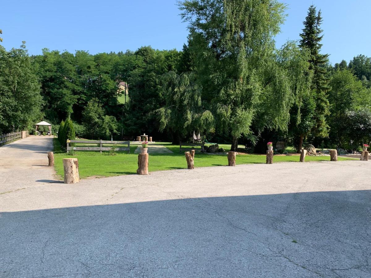 Landgasthof Steinmuehl Hofbauer Fruehstueckspension Und Campingplatz 伊布斯河畔魏德霍芬 外观 照片